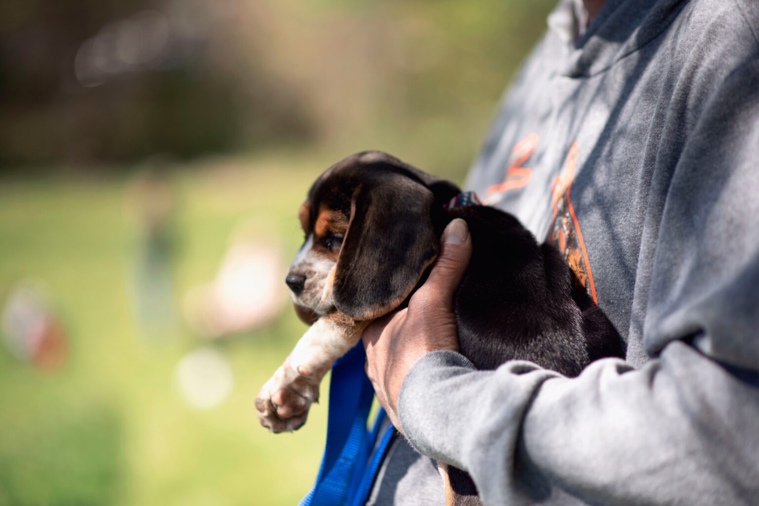 Gallery Sprague Rod & Gun