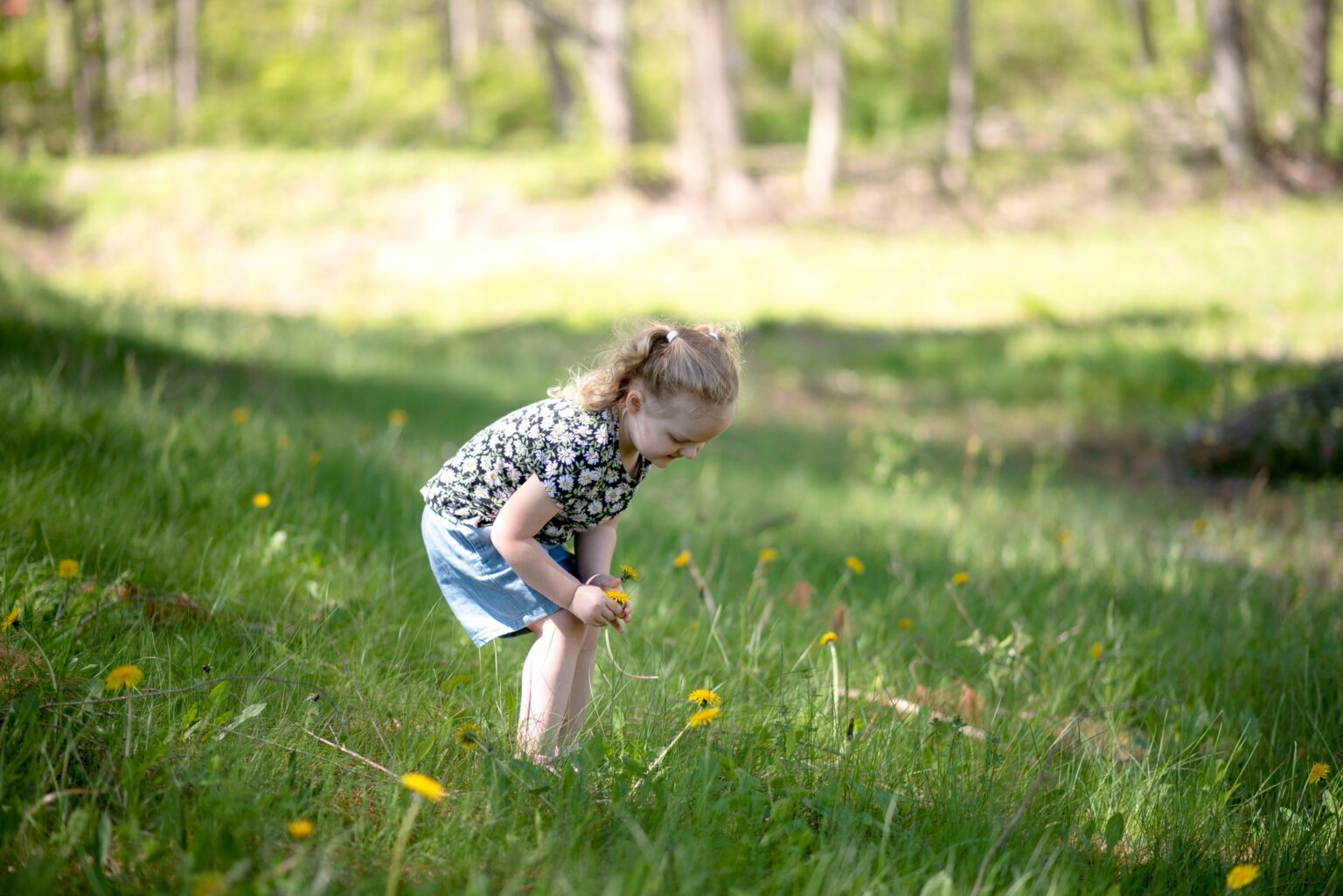 Gallery Sprague Rod & Gun