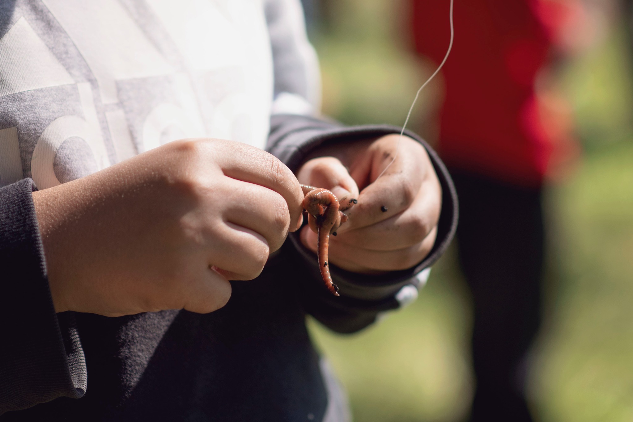 Gallery Sprague Rod & Gun